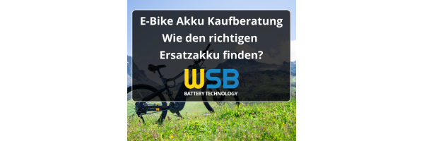 E-Bike Akku Kaufberatung: Wie den...