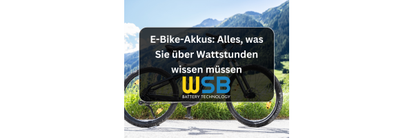 E-Bike-Akkus Alles, was Sie über...