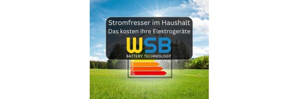Stromfresser im Haushalt – Das kosten...