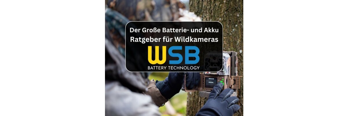 Batterie und Akku Ratgeber für Wildkameras - Die beste Versorgung für Wildkameras