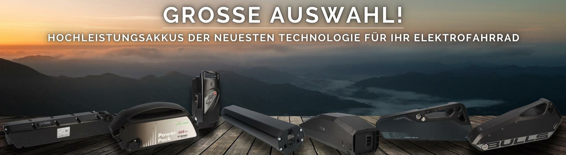 E-Bike Ersatzakku bei WSB Battery kaufen