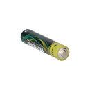 10x Alkaline Batterien Typ AAAA LR61