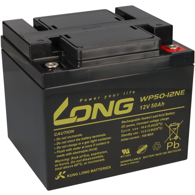 Lot De 2 Batteries AGM 12V 50Ah - WP50-12NE Cycle Profond Sans Entretien, Compatible Fauteuils Roulants Et Loisirs