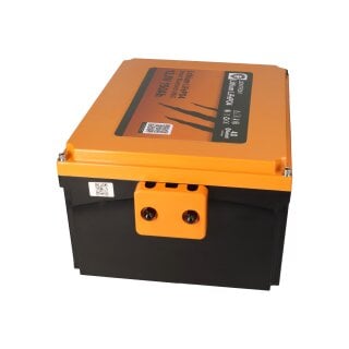 https://www.wsb-battery.de/shop/media/image/product/11275/md/liontron-lifepo4-wohnmobil-untersitz-akku-128v-150ah~3.jpg