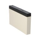 EnerSys Genesis NP2-12 AGM-Bleiakku 12V 2Ah – Faston 4,8 mm