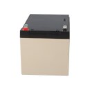 EnerSys Genesis NP12-12WT AGM-Bleiakku 12V 12Ah – Faston 6,3 mm