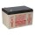 EnerSys Genesis NP12-12WT AGM-Bleiakku 12V 12Ah – Faston 6,3 mm