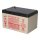 EnerSys Genesis NP12-12WT AGM-Bleiakku 12V 12Ah – Faston 6,3 mm