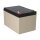 EnerSys Genesis NP12-12WT AGM-Bleiakku 12V 12Ah – Faston 6,3 mm