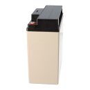 EnerSys Genesis NP18-12R AGM-Bleiakku 12V 18Ah – M5-Flachpol