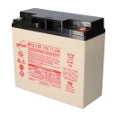 EnerSys Genesis NP18-12R AGM-Bleiakku 12V 18Ah – M5-Flachpol