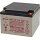 Genesis NP24-12 12V 24Ah M5 Innengewinde AGM Blei Akku