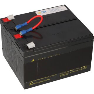 Akku kompatibel APC BAck UPS RS 1200 1500 ersetzt RBC109