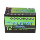 FYBAT LiFePO4 Akku 12V (12,8V) 12Ah inkl. Bluetooth und CanBus