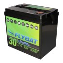 FLYBAT LiFePO4 battery 48v (51.2v) 30Ah incl. Bluetooth and CanBus