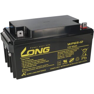 Akku für Panasonic LC-X1265PG 12V 65Ah AGM Batterie VdS