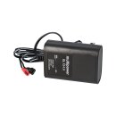 Automatic charger for lead-acid batteries 12 volts from a...