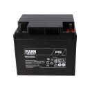 FIAMM FG24204 Standard AGM Bleiakku 12V 42Ah...