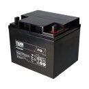 FIAMM FG24204 Standard AGM Bleiakku 12V 42Ah M6-Schraubanschluss