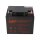 NPP NPD12-45 AGM Deep-Cycle Bleiakku 12V 45Ah zyklenfest