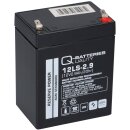 PB Akku Q-Batteries 12LS-2.9 12V 2,9Ah f. Hill-Rom Liko Lifter