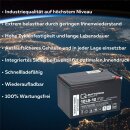 Quality-Batteries 12LCP-12 12V 13Ah AGM Akku –...