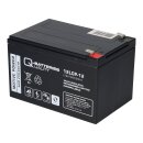 Ersatz-Akku 12LCP-12 12V-13Ah f. elektrische Kehrmaschine Haaga 677 & 697 Profi-Line QB