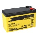 SUN Battery SB12-7.2V0 AGM Akku 7,2 Ah Blei-Akku