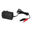 Set - lead battery and charger - 6v 12Ah Multipower battery 0,6a charger