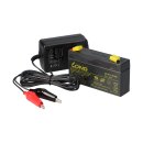 Kung Long WP1.2-6 Akku-Ladegerät-Set 6V 1,2Ah – passend für Notlicht, Alarm & Modellbau