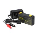 Set - lead battery and charger - 6v 1,2Ah KungLong battery 0,6a charger