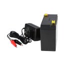 set - lead battery and charger - 6v 7Ah s KungLong battery 0.6a charger