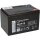 Q-Batteries 12LCP-15 12 V 15 Ah AGM Deep-Cycle-Akku