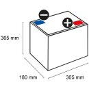 2x Q-Batteries 6dc-360 Deep Cycle 6v 360Ah traction battery