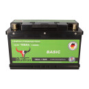 BullTron LiFePO4 12,8V 100Ah Basic Akku mit BMS