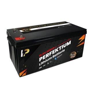 Perfektium LiFePO4 Wohnmobil Batterie mit BMS 12.8V 100Ah