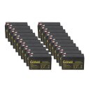Akkusatz für Newave PowerVario PVO11/8K & PVO11/10K – 20x Kung Long WP1236W 12V 9Ah AGM, 6,3 mm Faston, 36 W/Zelle