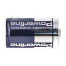 12x Panasonic lr20 Powerline Mono Battery d Industrial