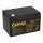 Kung Long WP14-12SE Akku-Satz 24V 14Ah für Jungheinrich Gelände-Elektro-Stapler und Ameise – 2x 12V AGM