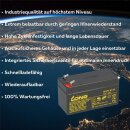 12V 1200mAh AGM Bleiakku.
