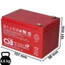 CSB EVH12150 High-Cycle AGM Bleiakku 12V 15Ah T2 / Faston...