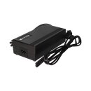 Charger for Phylion battery Joycube sf-06s rc1701 48v 2a