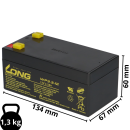 Kung Long WP3.3-12 12V 3,3Ah AGM Bleiakku F1 4,8mm