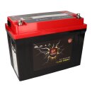 Perfektium LiFePO4 Batterie 12.8V 100Ah mit BMS &...