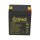 Kung Long WP2.9-12T 12V 2,9Ah AGM Bleiakku F1 4,8mm