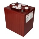 2x Traktionsbatterie Trojan TE35 6V 245Ah Deep Cycle AP-Anschluss