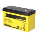 AGM Ersatzakku 12V 8Ah für SSB SBH300-12 – SUN Battery kompatibel