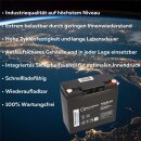 24V 23Ah Akku-Satz für Numatic TTB1840 Scheuersaugmaschine – 2x 12LCP-23