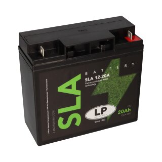 AGM Batterie 12V 20Ah für Rasenmäher/Rasentraktor LS SLA12-20A