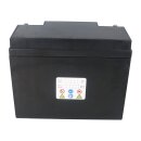 Landport Bleiakku 12V 50Ah AGM Batterie NSA LP12-55 T6